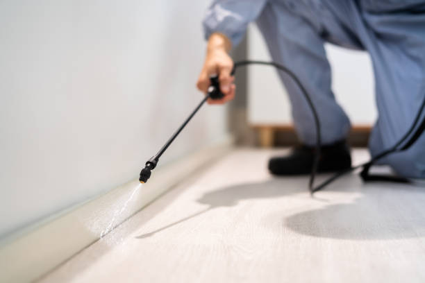 Licensed Pest Control service in Valley Falls, RI - Show Me Pest Control